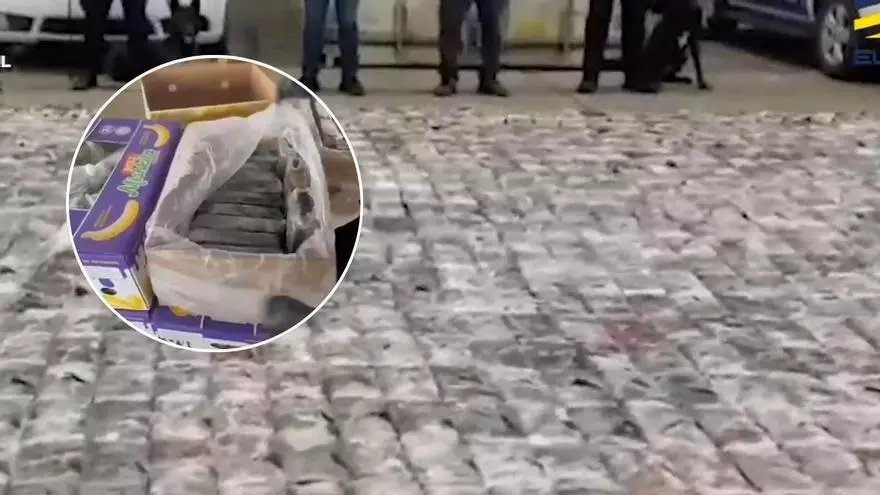Intervienen más de 21 toneladas de cocaína tras desarticular una organización que operaba en España y Ecuador