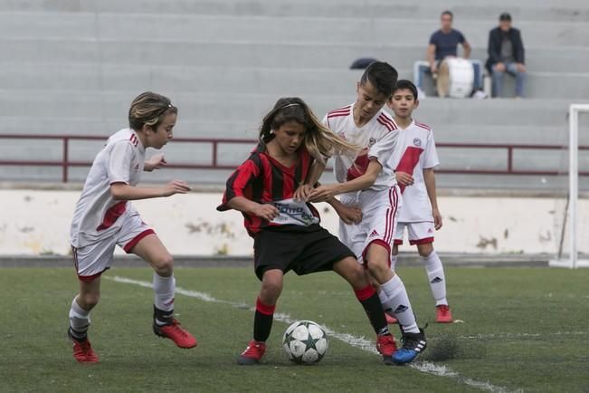 FÚTBOL BASE ALEVÍN