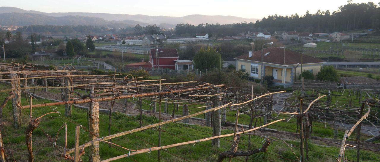 Fincas y casas en el rural.