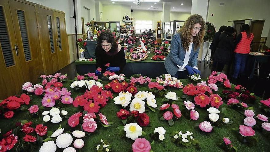 La pasada edición de la fiesta-exposición de la camelia, en Valga. // Iñaki Abella