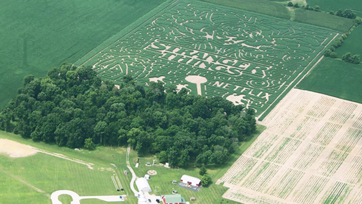 El laberinto de 'Stranger Things', en Lafayette, Indiana