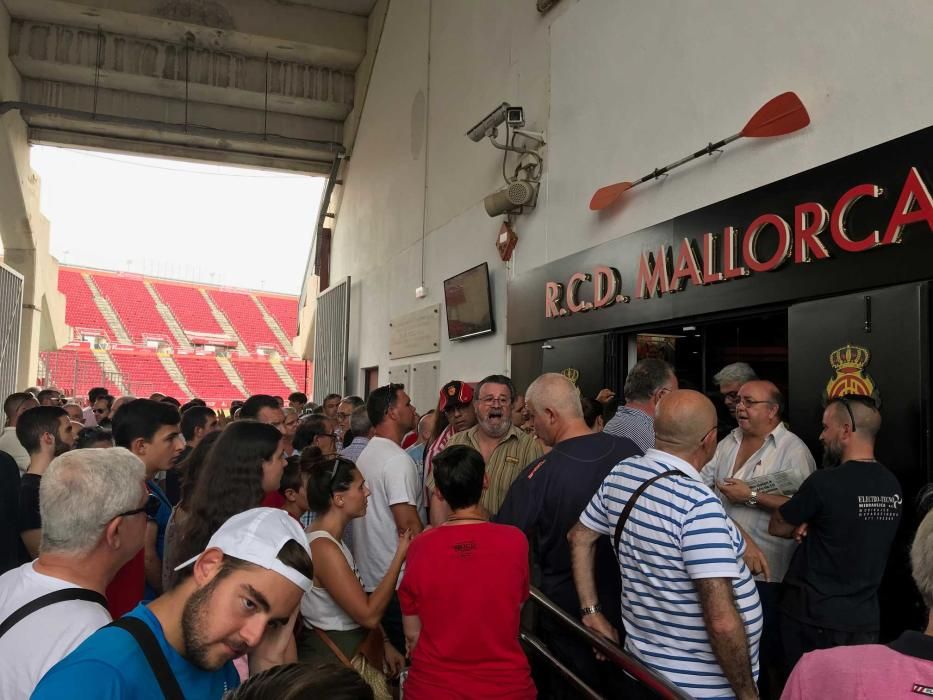 Caos en Son Moix para renovar el carnet de socio del RCD Mallorca