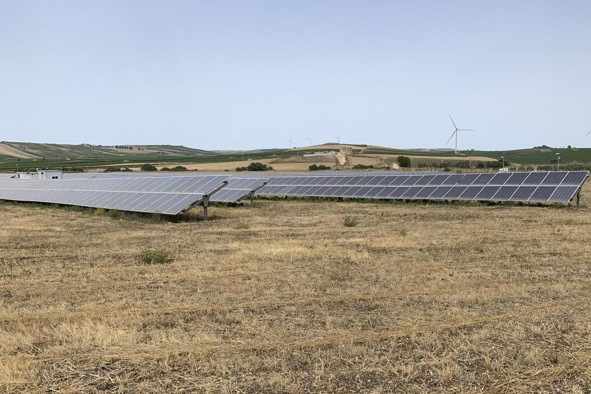 Los agricultores de Sicilia languidecen entre más paneles solares y el abandono de tierras
