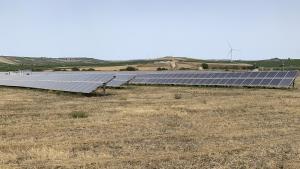 Los agricultores de Sicilia languidecen entre más paneles solares y el abandono de tierras