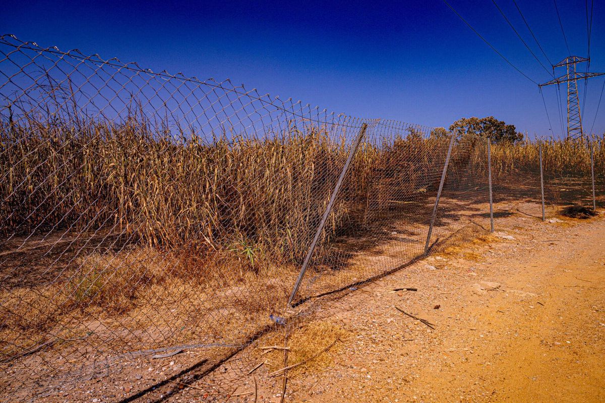 El 1 de julio de 2025, un día después del incendio, una parte de la zona cero en las barracas cercanas al Port de Barcelona se encuentra reservada y delimitada con un cartel. Este indica que está prohibido el paso, debido a que las tierras han quedado contaminadas.