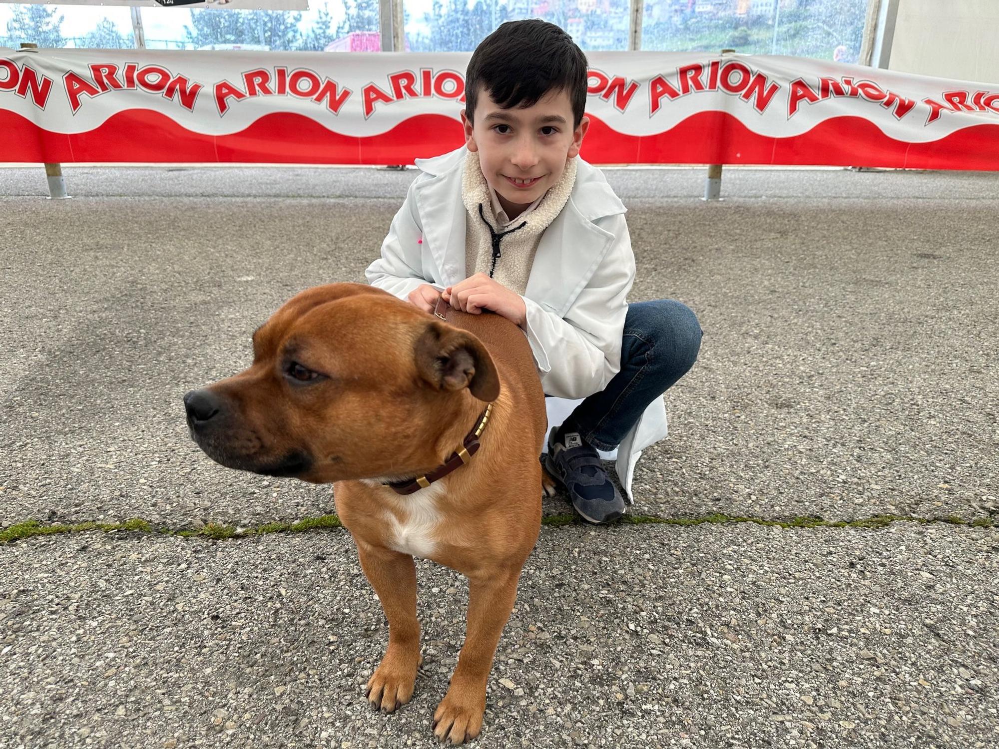 En imágenes: la trigésima Feria del Perro de Tineo se cierra con éxito