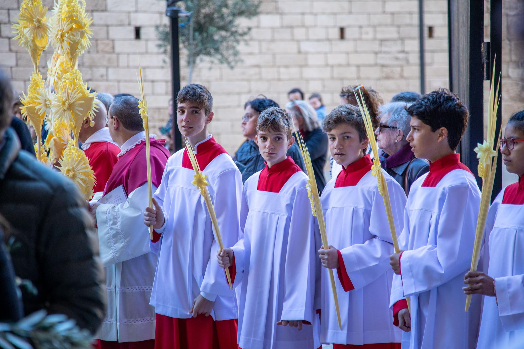 El obispo de Mallorca, Sebastià Taltavull, da el ‘sus’ al Domingo de Ramos, con la la bendición de los ramos y una misa en la Seu