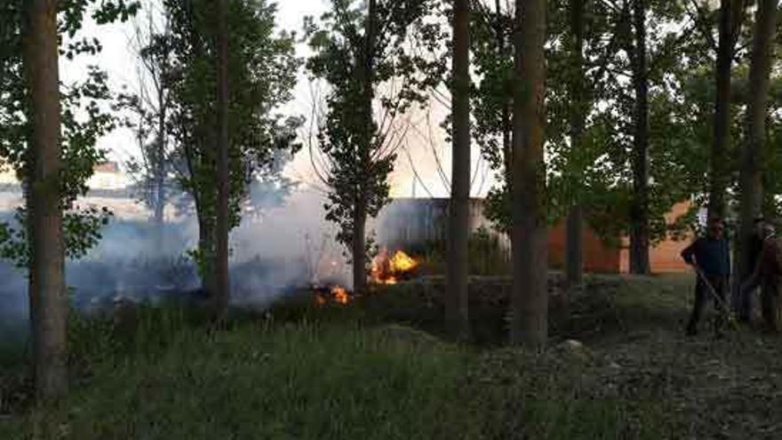 El polen del chopo provoca un pequeño incendio en Moreruela