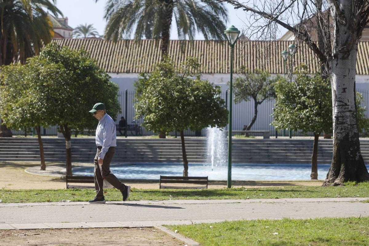 A.J.González Córdoba Jardines Elena Moyano Madre Coraje Tetubbies