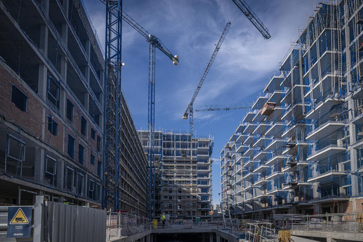 Badalona tindrà un pla local per afrontar la crisi de l’habitatge durant els pròxims sis  anys