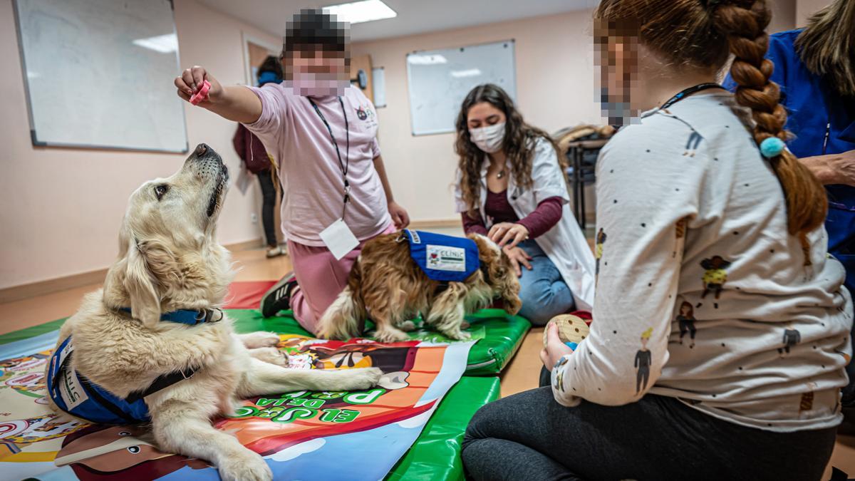 Perros que sanan a niños con problemas de salud mental: &quot;Reducen las crisis hasta tres veces&quot;.