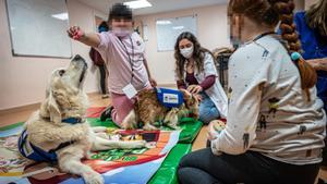 Terapia con perros, en el hospital de día de niños del Clínic.