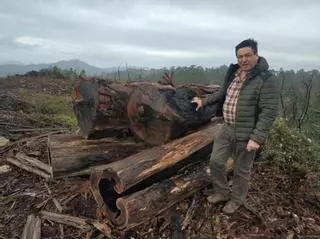 El pedáneo de Morgadáns, ahora también concejal en Gondomar