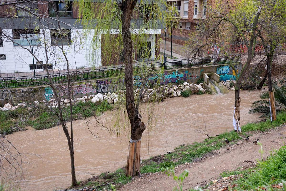 En imágenes I El río Huerva, a su paso por Zaragoza tras las últimas lluvias