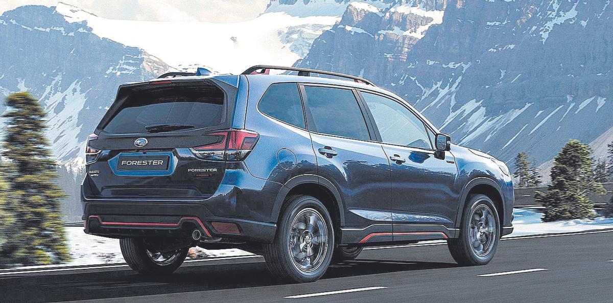 Vista trasera del Subaru Forester