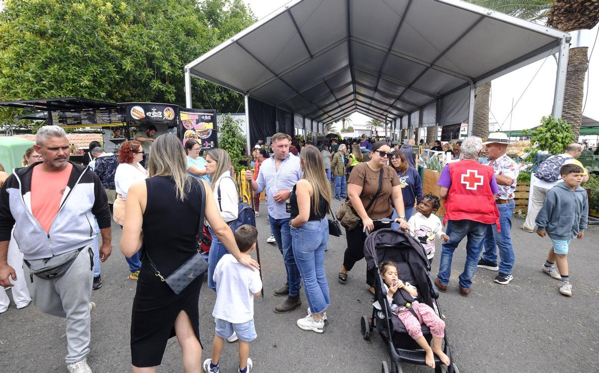 Feria de Ganado de Gran Canaria