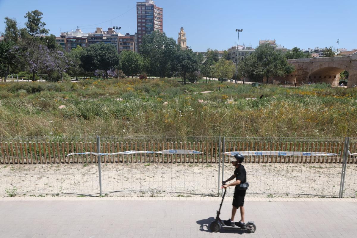 El Jardín de Polinizadores situado en el tramo VI del Jardín del Turia