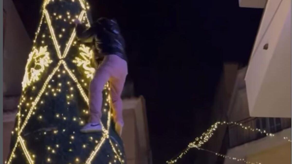 Un joven se encarama al árbol de Navidad de Manacor