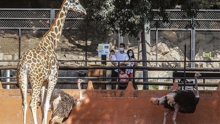 Una familia en el Zoo de Córdoba.