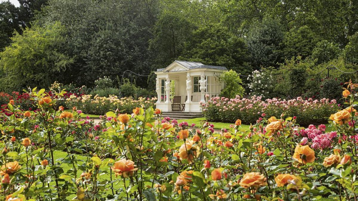Jardín de rosas en Buckingham Palace
