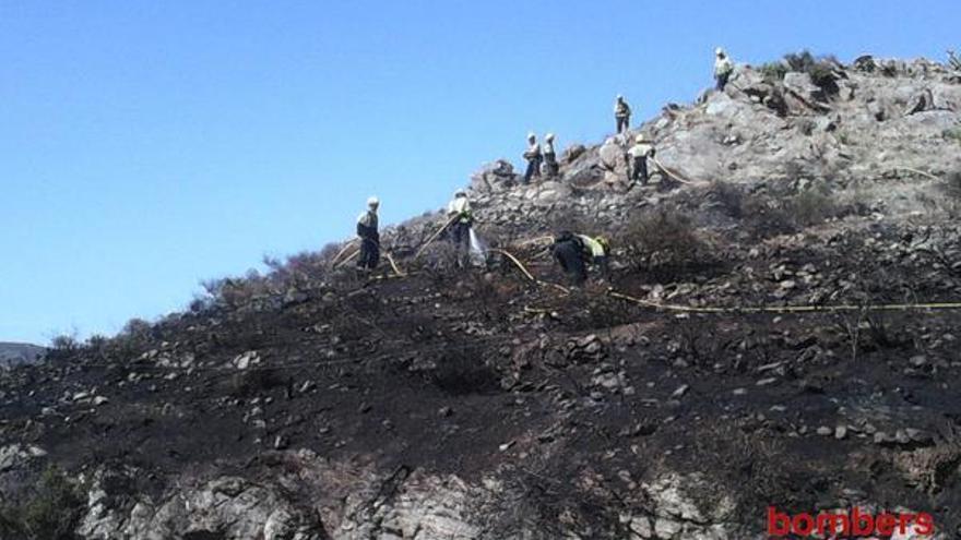 Un incendi agrícola ha cremat 1.500 metres quadrats de vinya a cala Montjoi