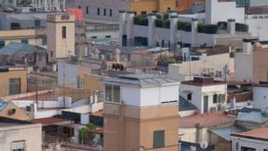 El preu del lloguer acumula pujades superiors al 30% des de la pandèmia
