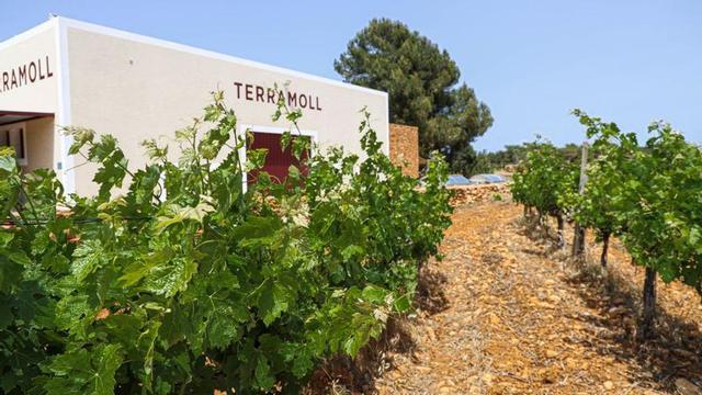 La bodega, fundada en el año 2000, se ha esforzado por recuperar variedades de uvas autóctonas.