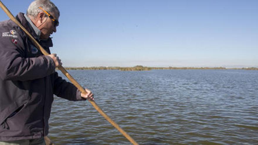 La Fiscalía pide al Consell que quite a la Junta de Desagüe el control de l´Albufera