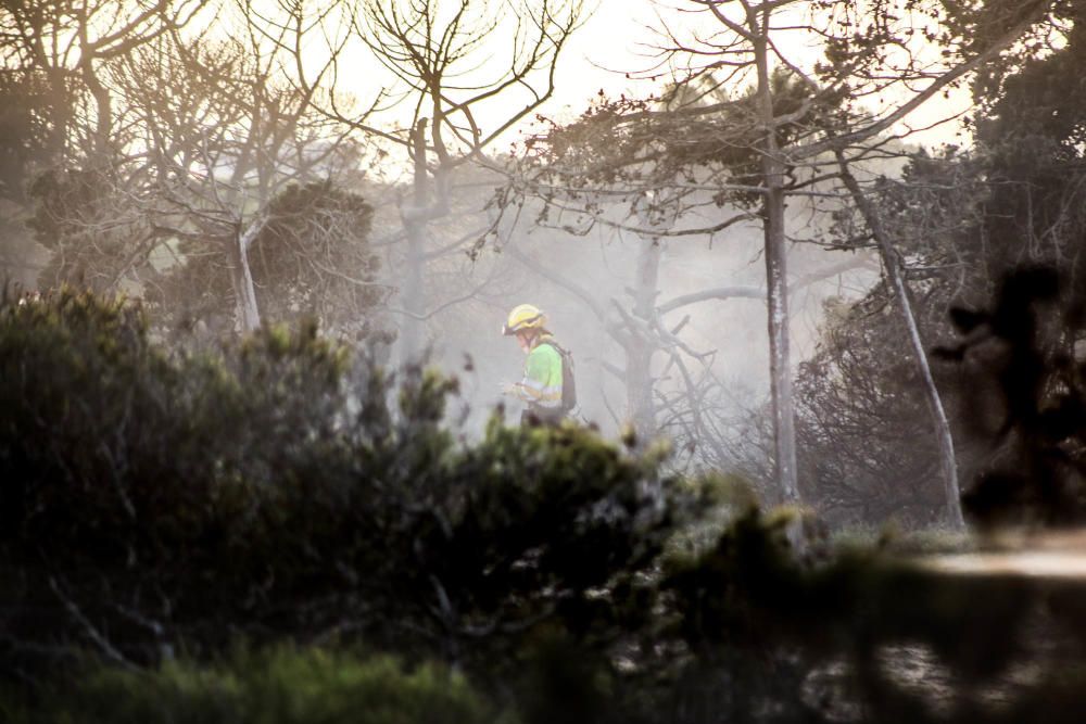 Tareas de extinción del incendio en Guardamar