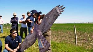 Uno de los drones en forma de pájaro de Kowat.