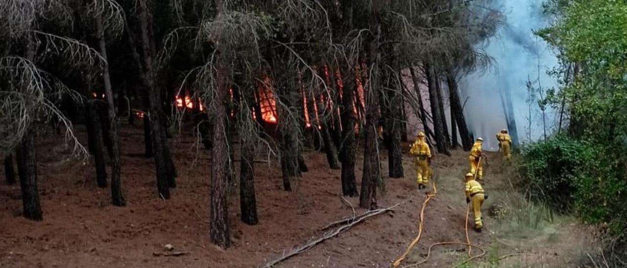 Incendio forestal en Ateca.