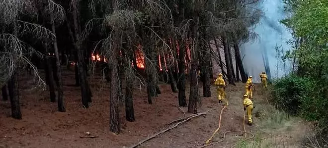 Aragón pierde más de 70.000 hectáreas forestales en 20 años