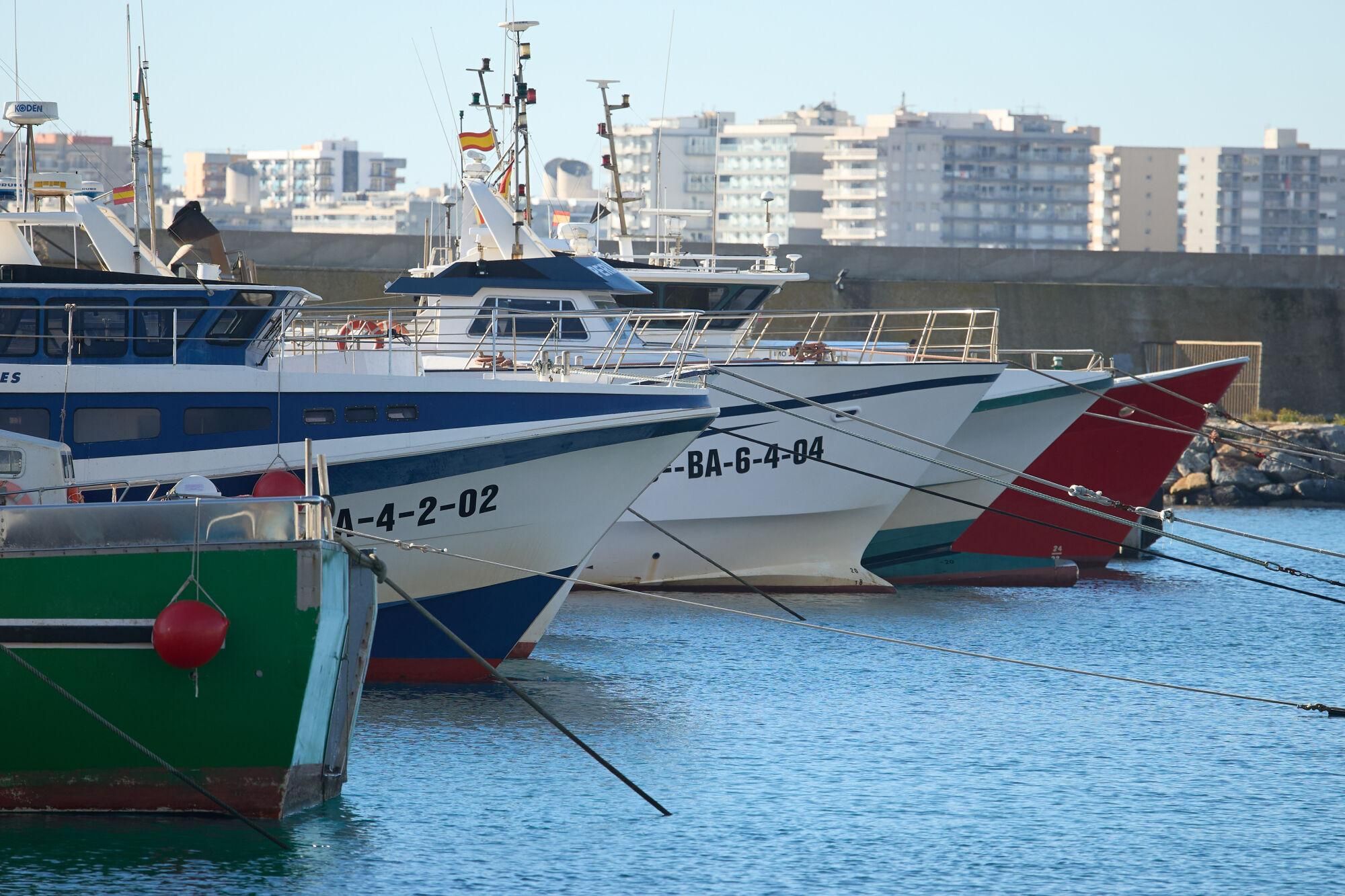 L'aturada de pescadors de Blanes, en imatges