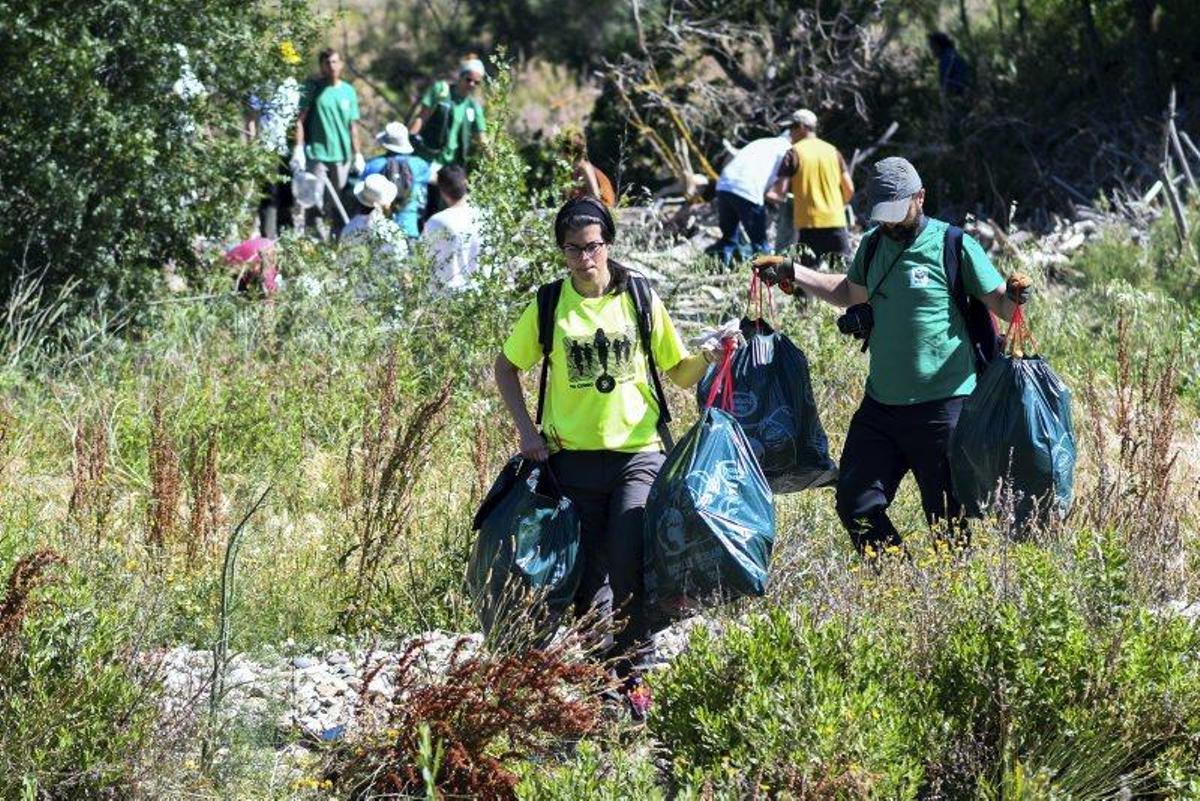 Recogida de plásticos en la ribera del Ebro