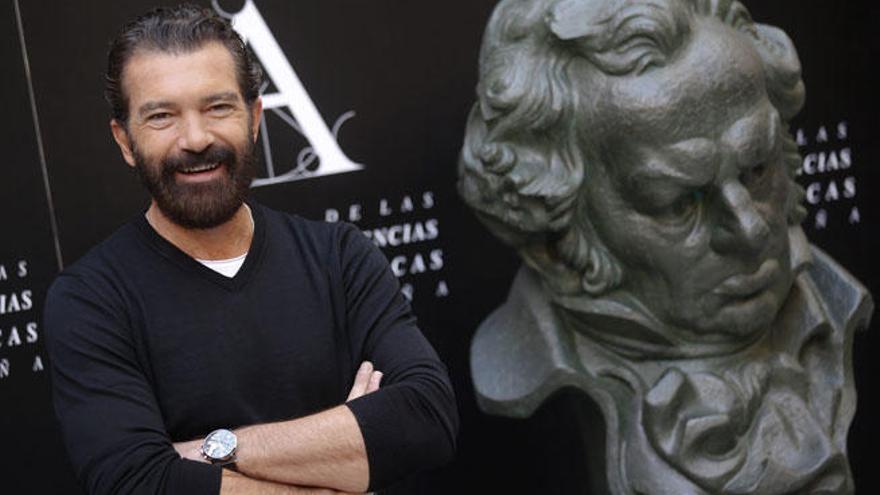 Antonio Banderas ve el Goya de Honor como un &quot;estímulo&quot;