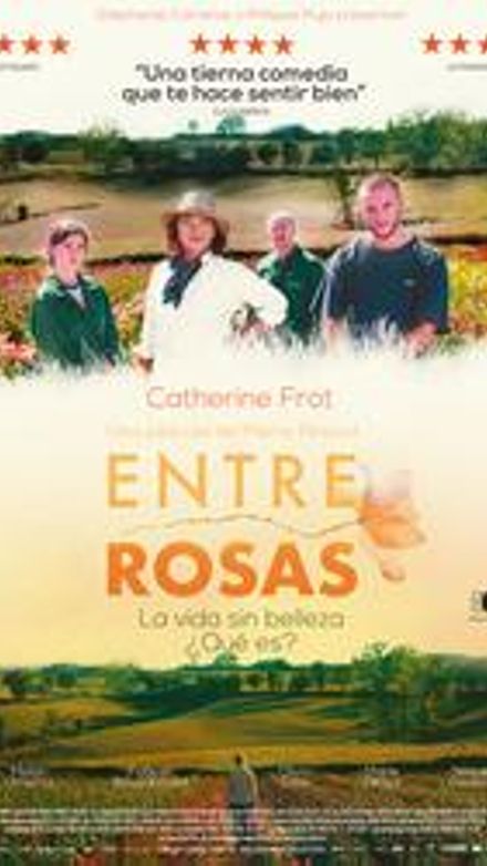 Entre rosas