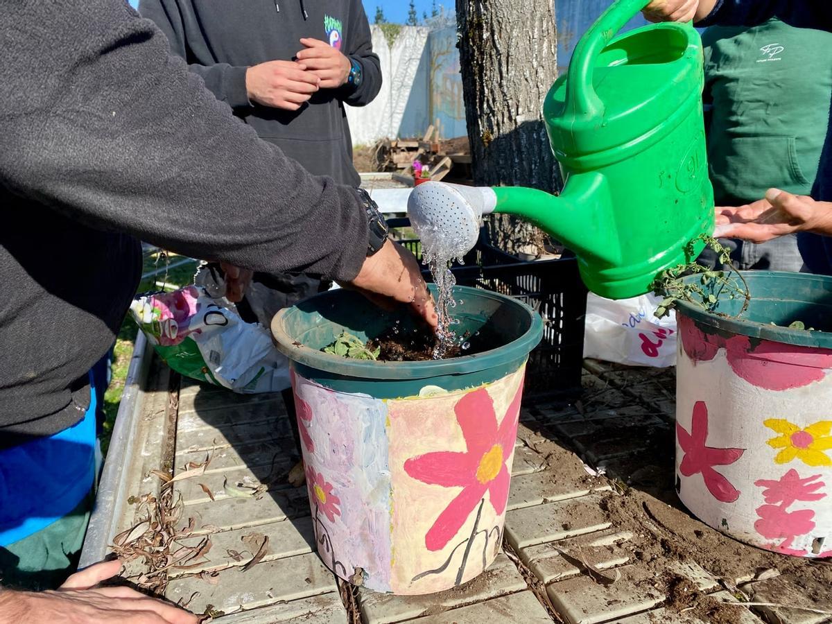 El 13 de octubre el alumnado se puso manos a la obra con la plantación