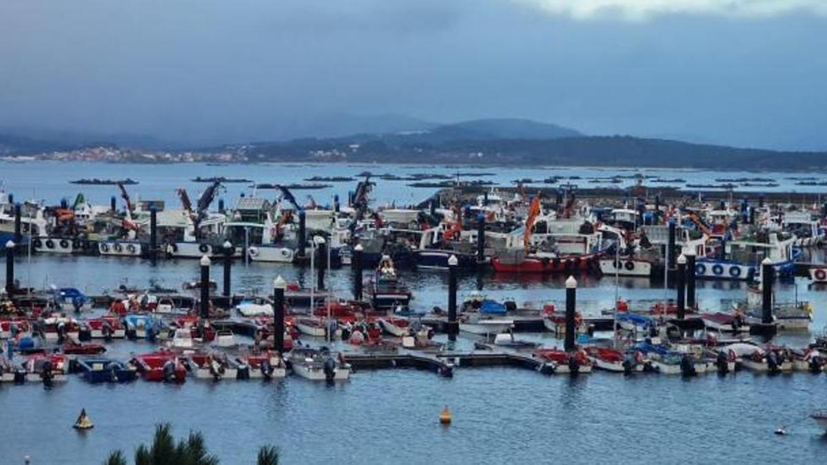 Flota de bajura y barcos bateeiros amarrados en la ría de Arousa.