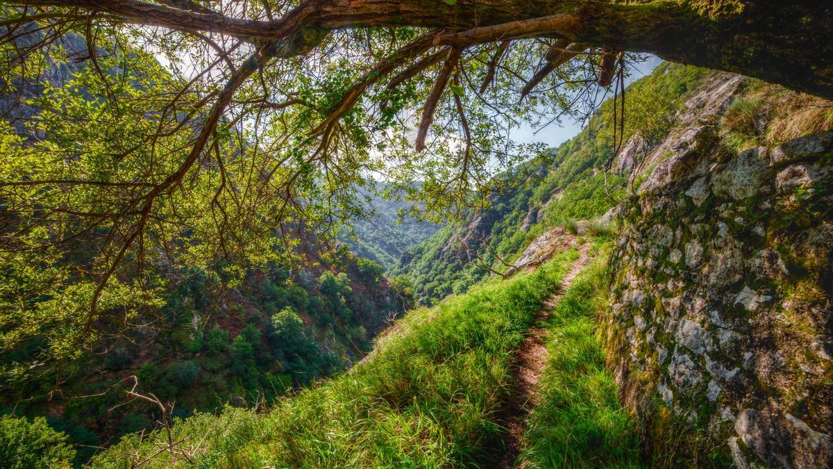 Fragas do Eume, Galicia