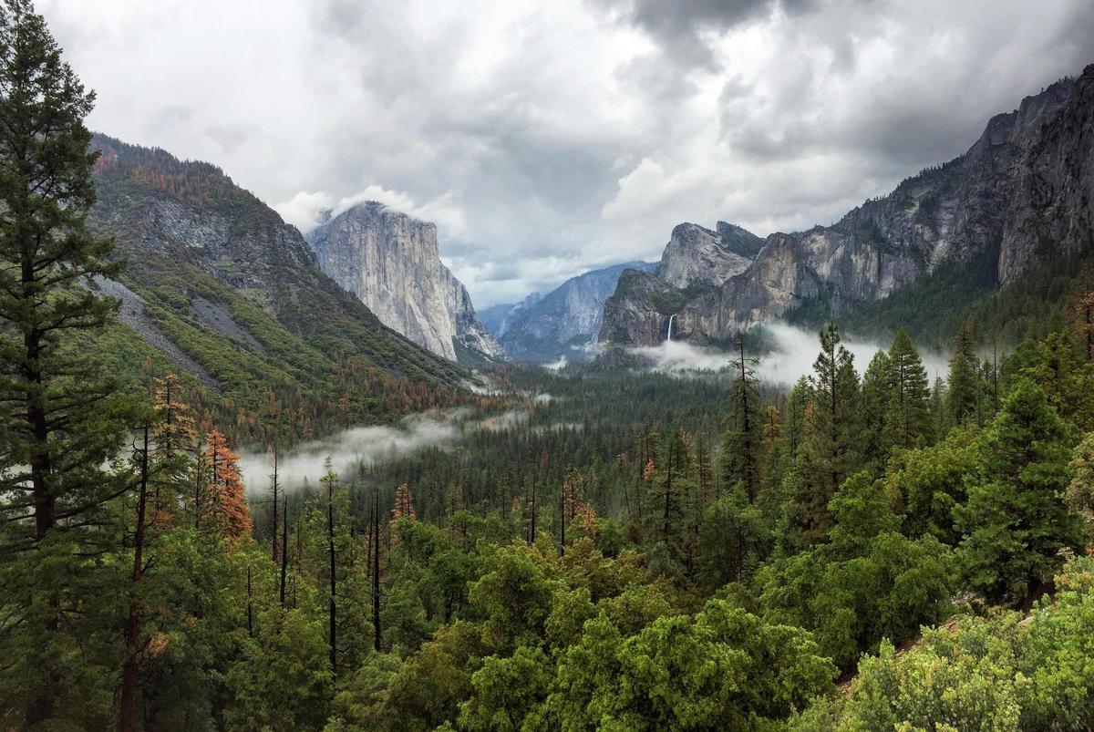 El parque nacional de Yosemite es una de las visitas que no puedes perderte en tu viaje a la Costa Oeste.