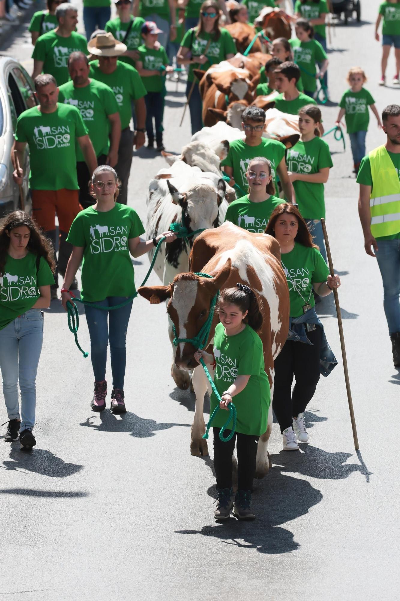 Marea verde en Llanera: el campo tomó la calle con el espectacular desfile de carros y animales