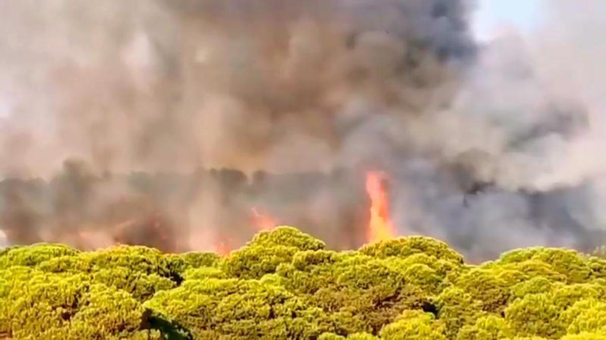 Incendio forestal junto a Islantilla Golf, en Lepe (Huelva)