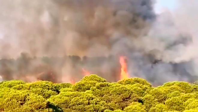 Declarado un incendio forestal próximo a la urbanización Islantilla Golf, en Lepe (Huelva)
