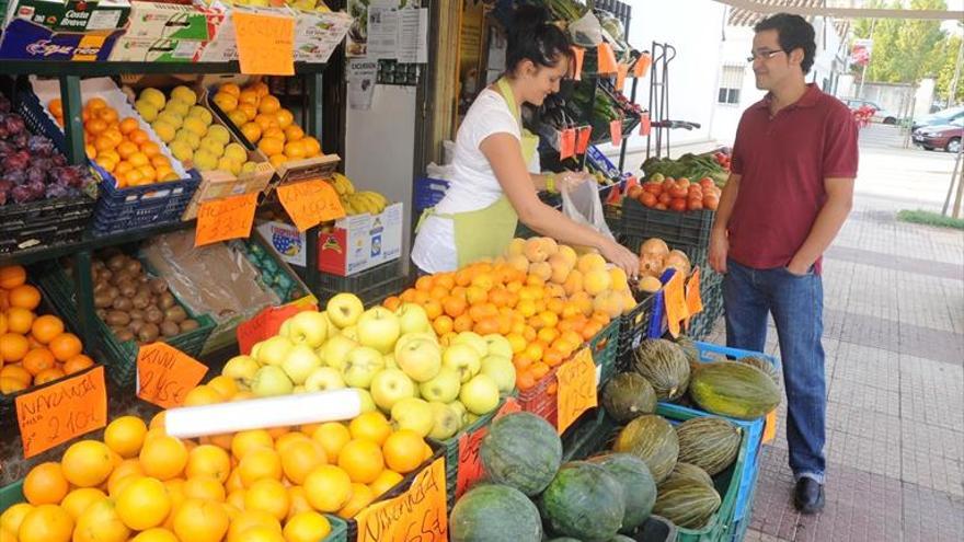 Siete de cada diez nuevas empresas creadas el último año son autónomos