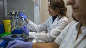 Catalunya incorpora el test molecular de sang per tractar el càncer de pulmó