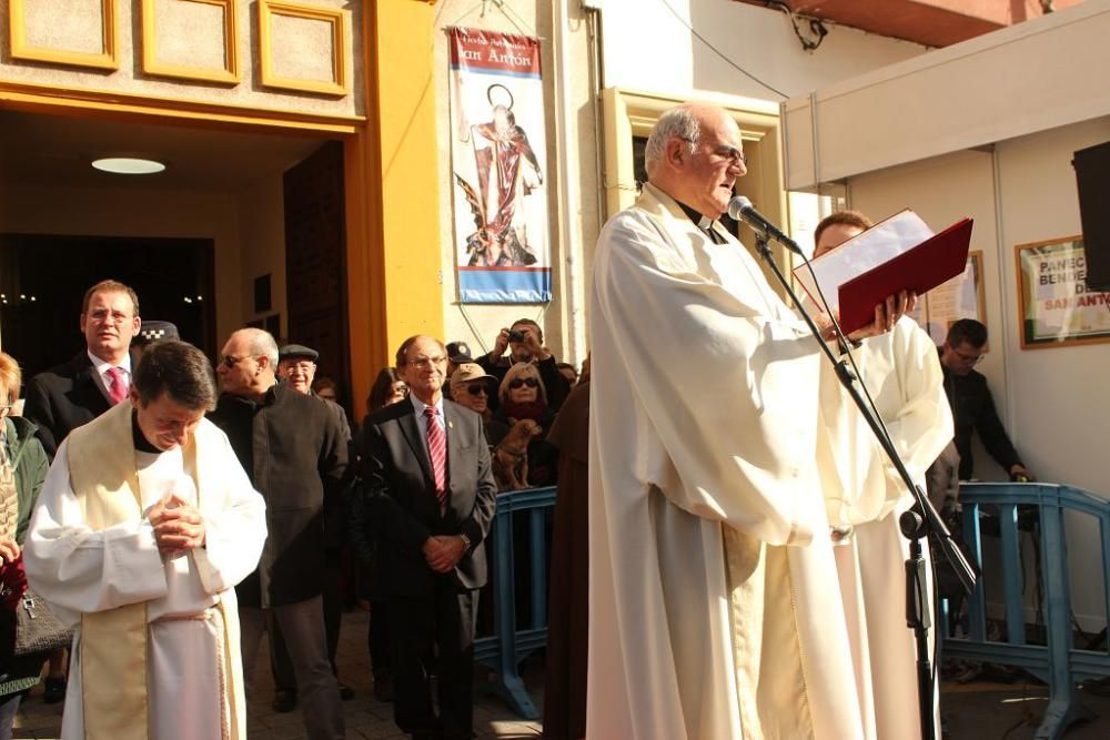 Bendición de San Antón en Murcia