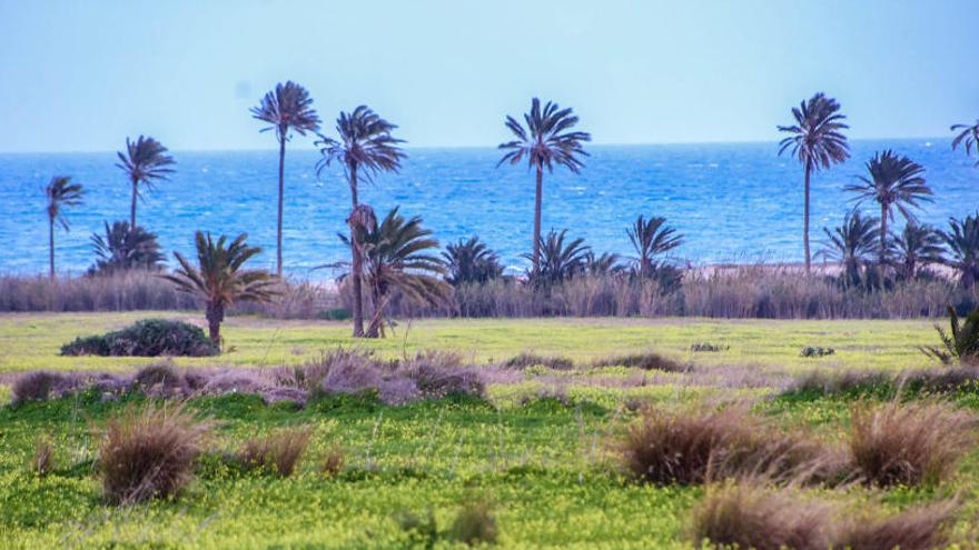 Iamgen de Ferrís esta primavera/Tony Sevilla