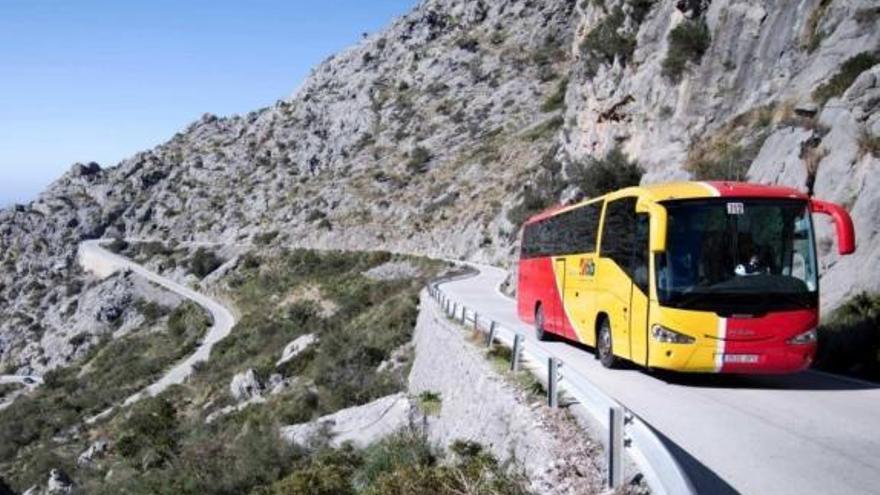 Überlandbusse auf Mallorca: Essen, Trinken und Bikini verboten