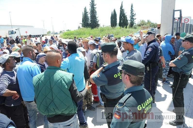 Protesta hortofrutícola en una empresa de El Raal