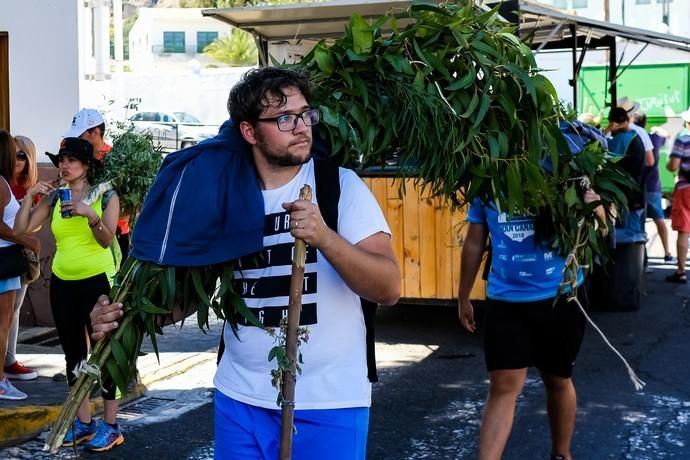 28.06.18. AGAETE.  BAJADA DE LA RAMA, EL VALLE ...